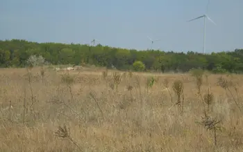 Auction image Land for building