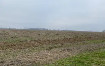 Auction image Farmland