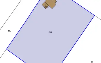 Auction image House