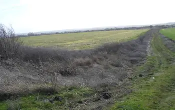 Auction image Farmland