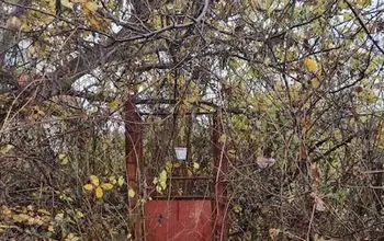 Auction image Land for building
