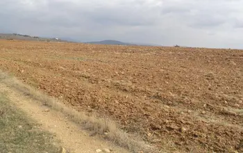 Auction image Farmland