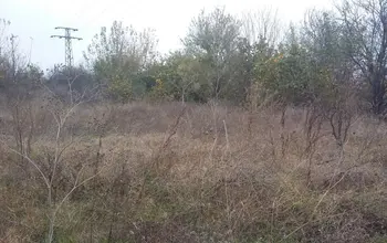 Auction image Farmland