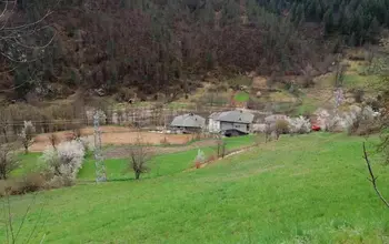 Auction image Farmland