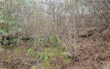 Auction image Land for building