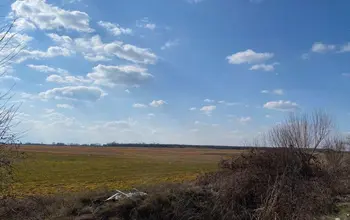 Auction image Farmland
