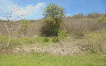 Auction image Farmland