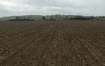 Auction image Farmland