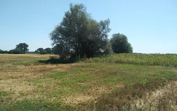 Auction image Farmland