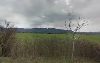 Auction image Farmland