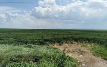 Auction image Farmland