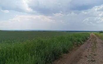 Auction image Farmland