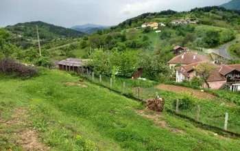Auction image Farmland