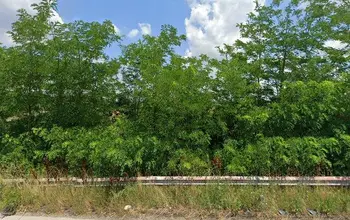 Auction image Farmland