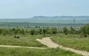 Auction image Farmland