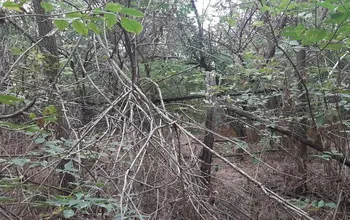 Auction image Land for building