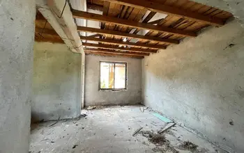 Auction image House