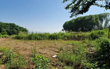 Auction image Farmland