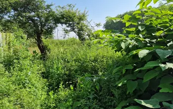 Auction image Farmland