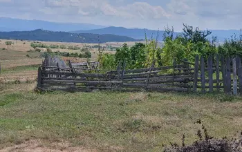 Auction image Земеделска земя/имот, ферма, парник/оранжерия