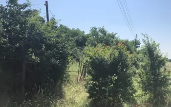 Auction image Land for building