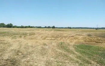 Auction image Farmland