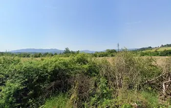 Auction image Farmland