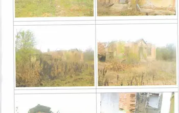 Auction image House