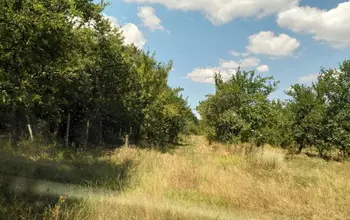 Auction image Farmland