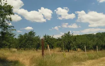 Auction image Farmland