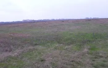 Auction image Farmland