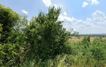 Auction image Farmland
