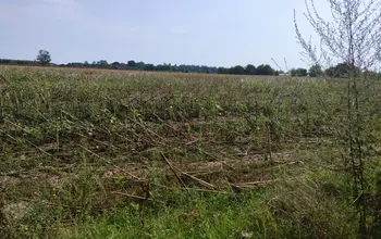 Auction image Farmland