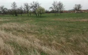 Auction image Farmland