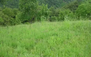 Auction image Farmland