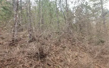 Auction image Land for building