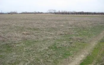 Auction image Farmland