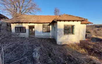 Auction image House
