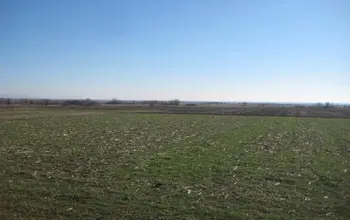 Auction image Farmland