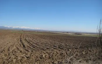 Auction image Farmland