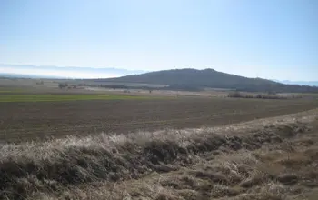Auction image Farmland