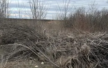 Auction image Land for building