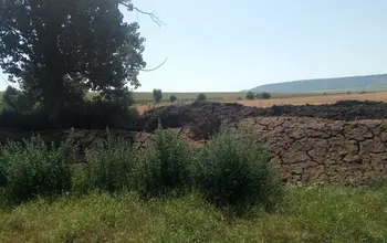 Auction image Farmland