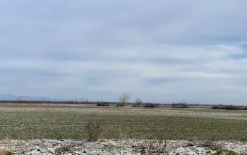 Auction image Farmland