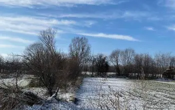 Auction image Farmland