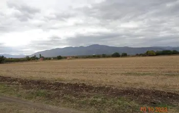 Auction image Farmland