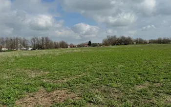 Auction image Farmland