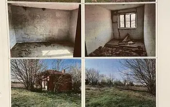 Auction image House