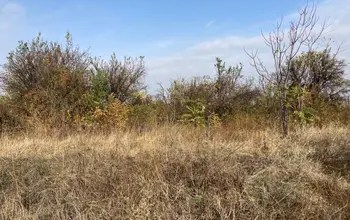 Auction image Land for building