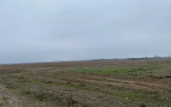 Auction image Farmland